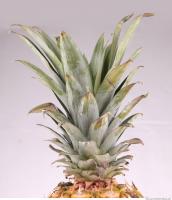 Pineapple 0015